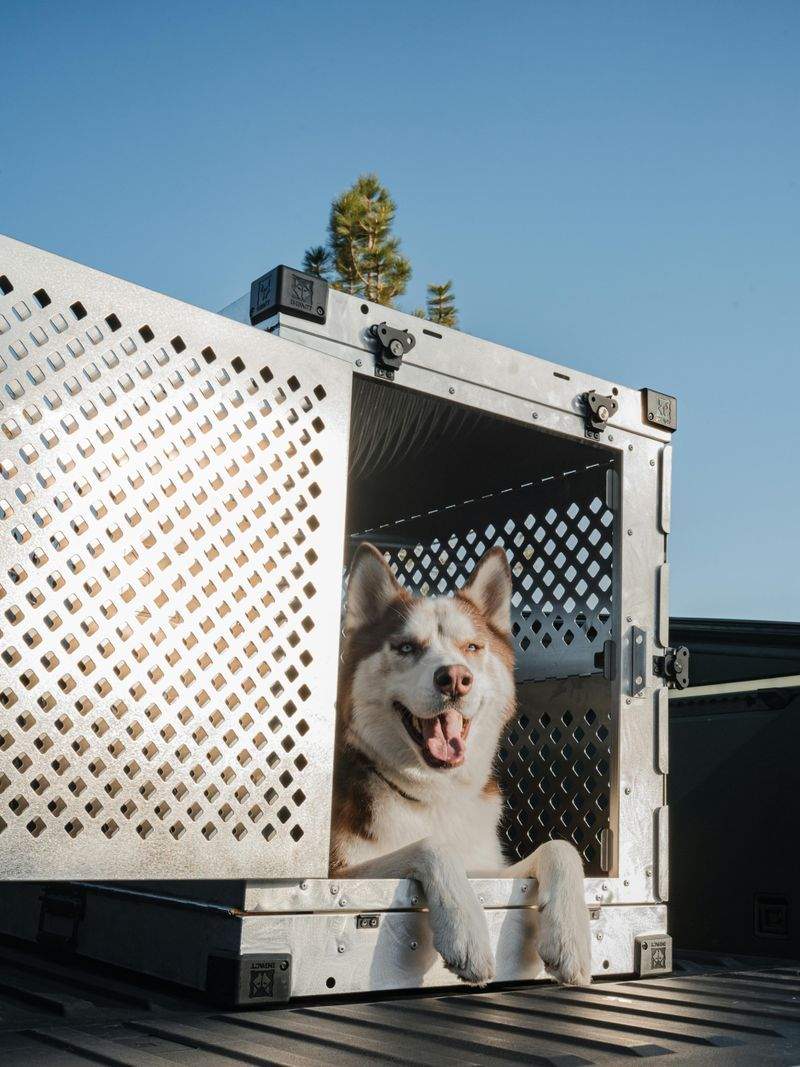 The Ultimate Guide to Puppy Training
